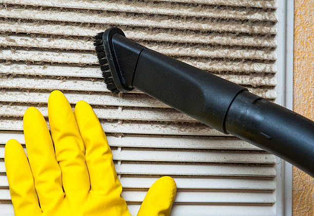 Best Home Air Vent Cleaning  in Nappanee, IN